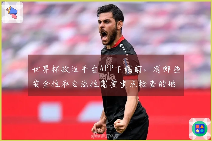 世界杯投注平台APP下载前，有哪些安全性和合法性需要重点检查的地方