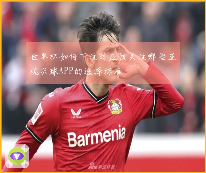 世界杯如何下注时应该关注哪些正规买球APP的选择标准