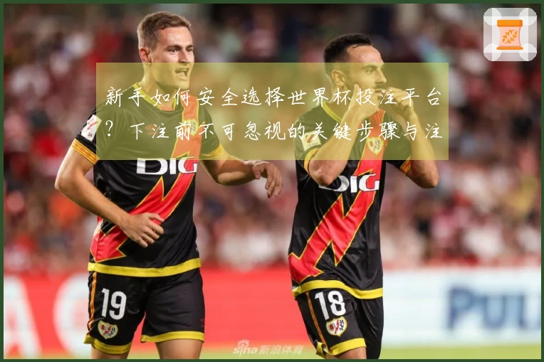 新手如何安全选择世界杯投注平台？下注前不可忽视的关键步骤与注意事项