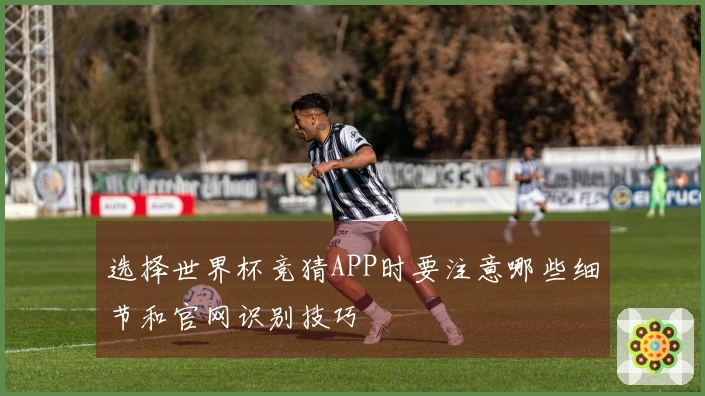 选择世界杯竞猜APP时要注意哪些细节和官网识别技巧