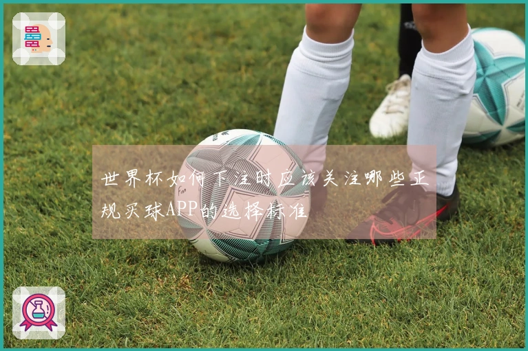 世界杯如何下注时应该关注哪些正规买球APP的选择标准