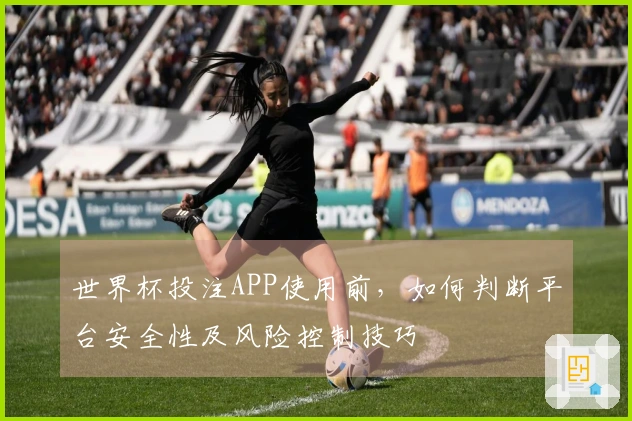 世界杯投注APP使用前，如何判断平台安全性及风险控制技巧